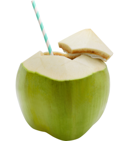 DỪA TƯƠI